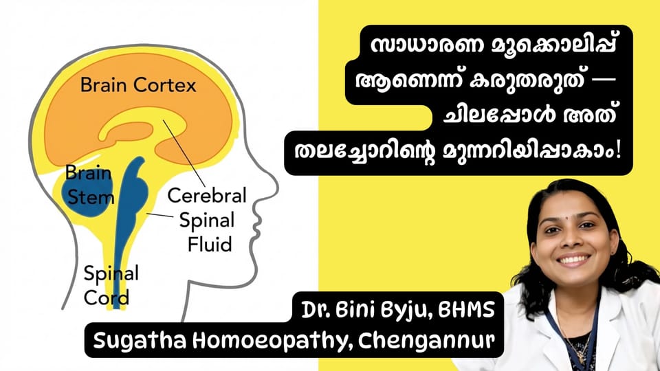 വീണ്ടും ചില മൂക്കൊലിപ്പുകാര്യങ്ങൾ !
